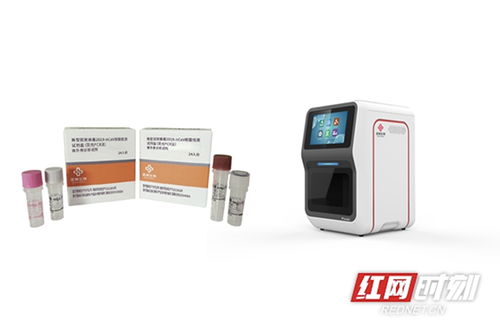 庖丁解 牛 湖湘 小巨人 為何這么牛